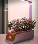 [ Premium Quality Unique Home Decor & Furniture Online]-Bhom Vu