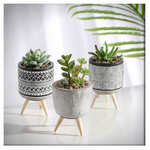 [ Premium Quality Unique Home Decor & Furniture Online]-Bhom Vu
