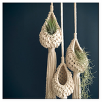 [ Premium Quality Unique Home Decor & Furniture Online]-Bhom Vu