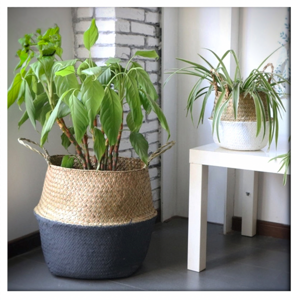 Basket in woven seagrass decorated with Plus Color paint Basket in woven seagrass decorated with Plus Color paint