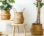 [ Premium Quality Unique Home Decor & Furniture Online]-Bhom Vu