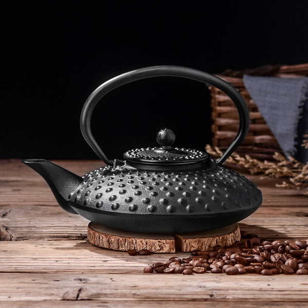 Cast Iron Japanese Tea Kettle