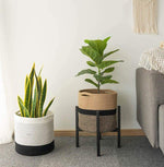 [ Premium Quality Unique Home Decor & Furniture Online]-Bhom Vu