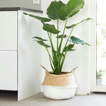 [ Premium Quality Unique Home Decor & Furniture Online]-Bhom Vu