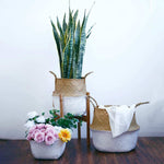[ Premium Quality Unique Home Decor & Furniture Online]-Bhom Vu