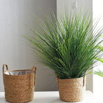 [ Premium Quality Unique Home Decor & Furniture Online]-Bhom Vu