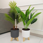 [ Premium Quality Unique Home Decor & Furniture Online]-Bhom Vu