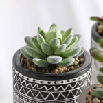 [ Premium Quality Unique Home Decor & Furniture Online]-Bhom Vu